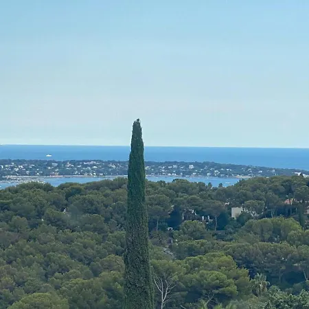 Villa Near Cannes With Pool And Views Vallauris